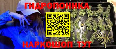 тгк Ипатово
