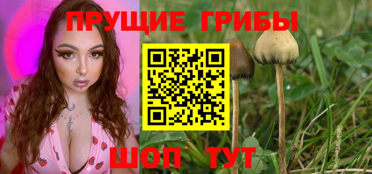 Псилоцибиновые грибы MAGIC MUSHROOMS  Вход с VPN  Галлюциногенные грибы ЛСД  Лениногорск 