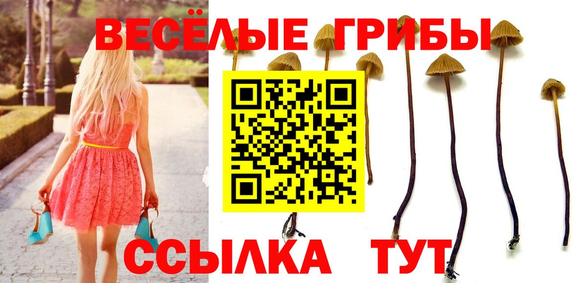 Галлюциногенные грибы GOLDEN TEACHER Лениногорск